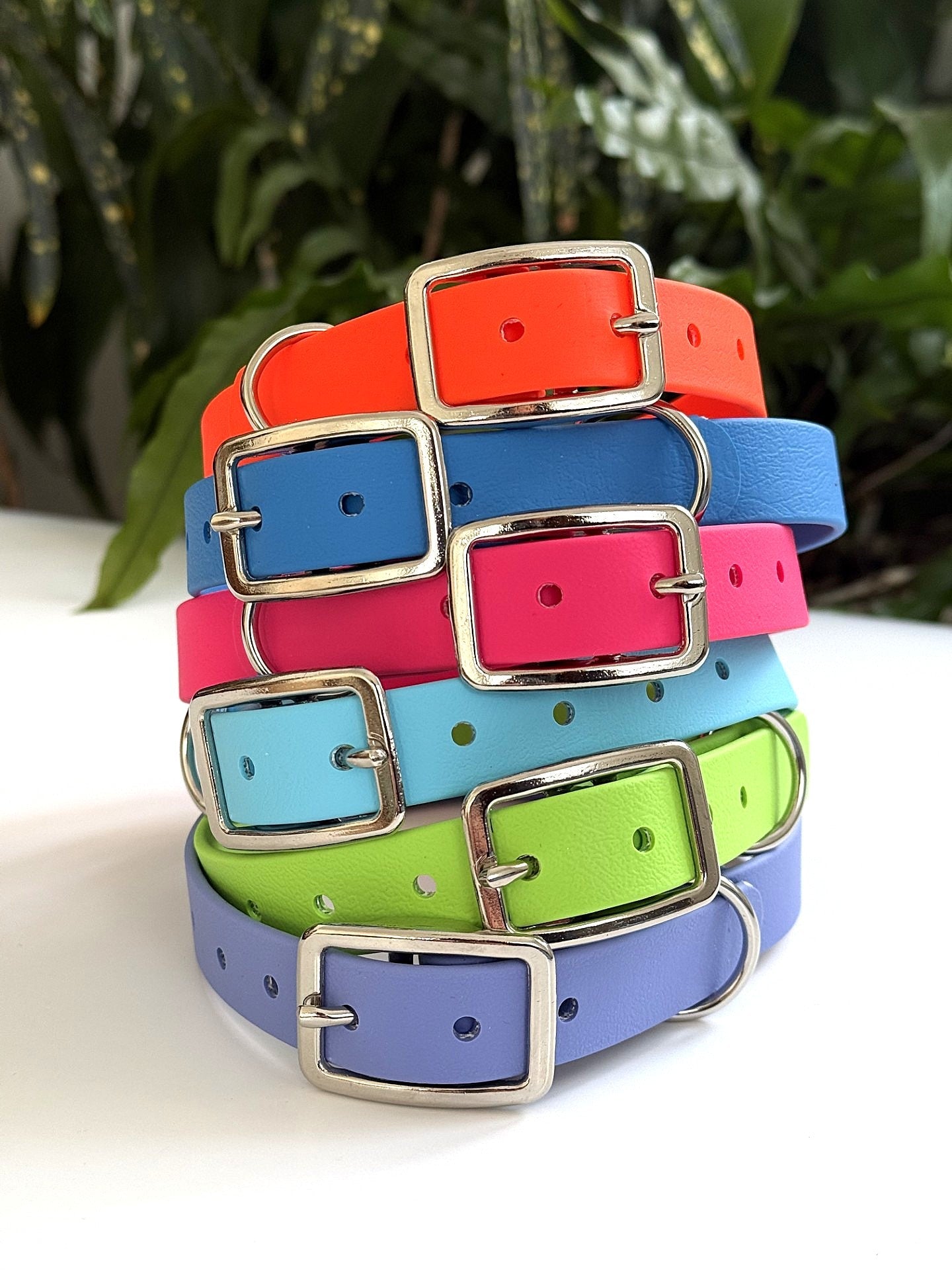 Les Classiques - Couleur Unie