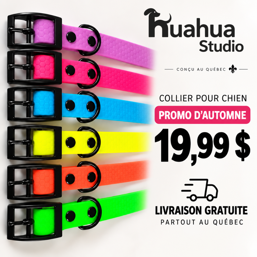PROMO D'AUTOMNE