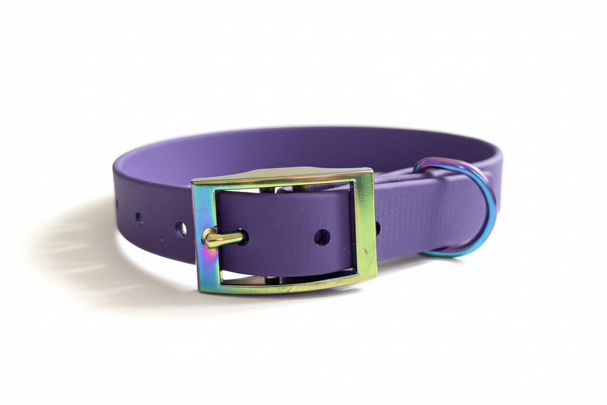 Le Classique - Aurora