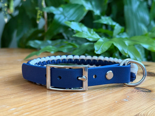 Blue Dog Collar
