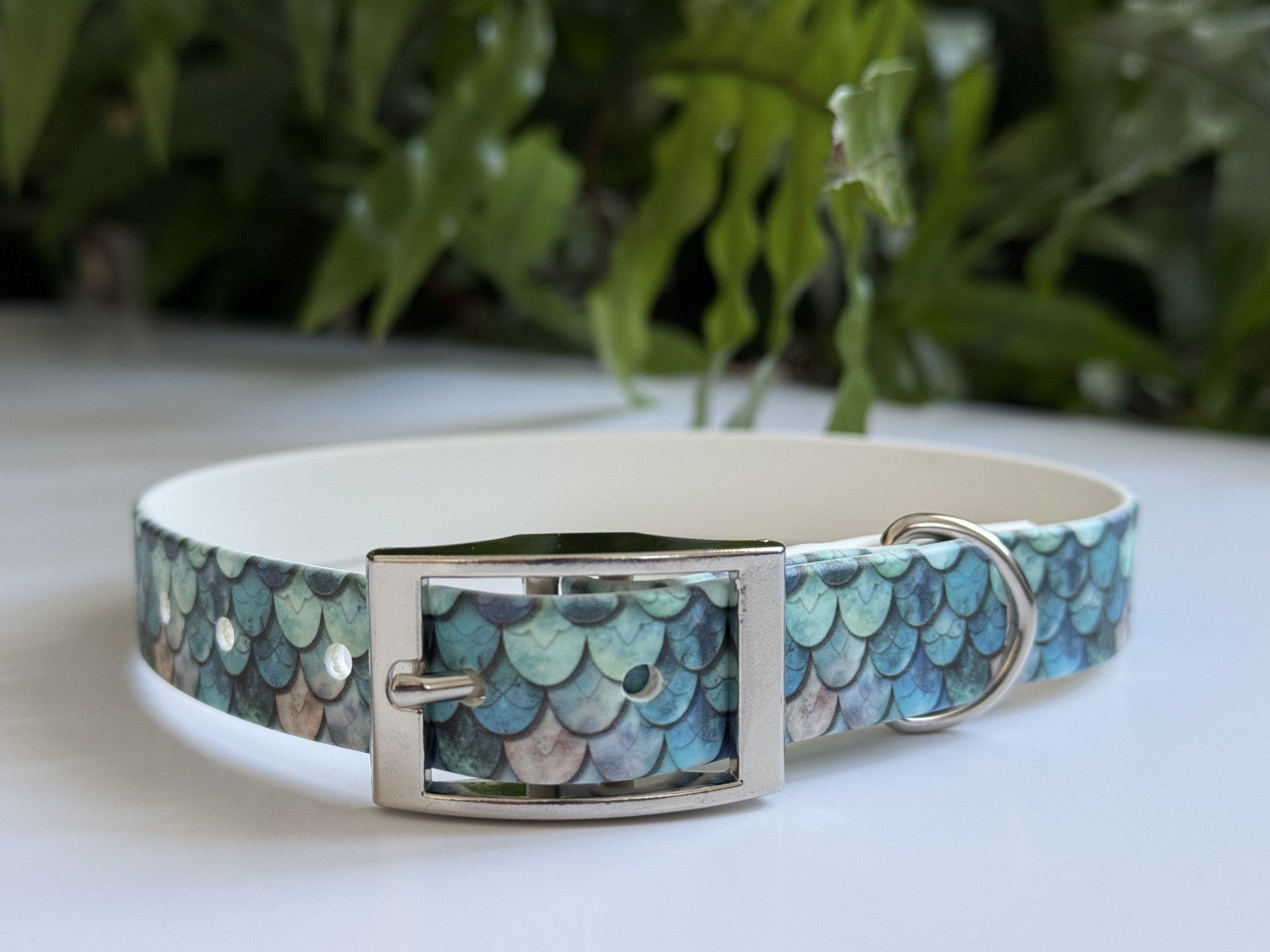 Le chant de la sirène