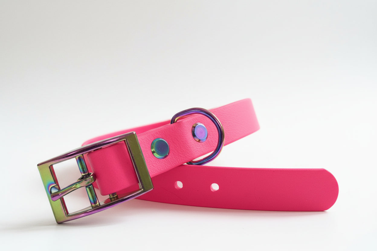 Le Classique - Aurora