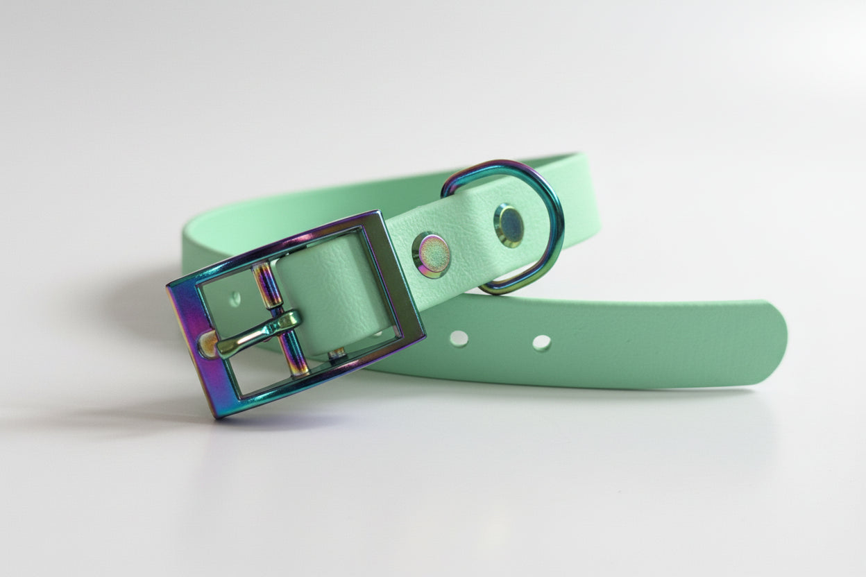 Le Classique - Aurora