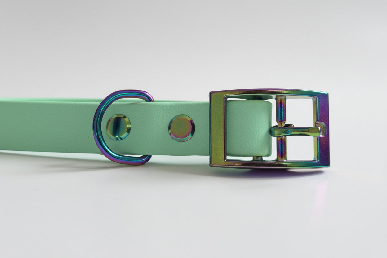 Le Classique - Aurora