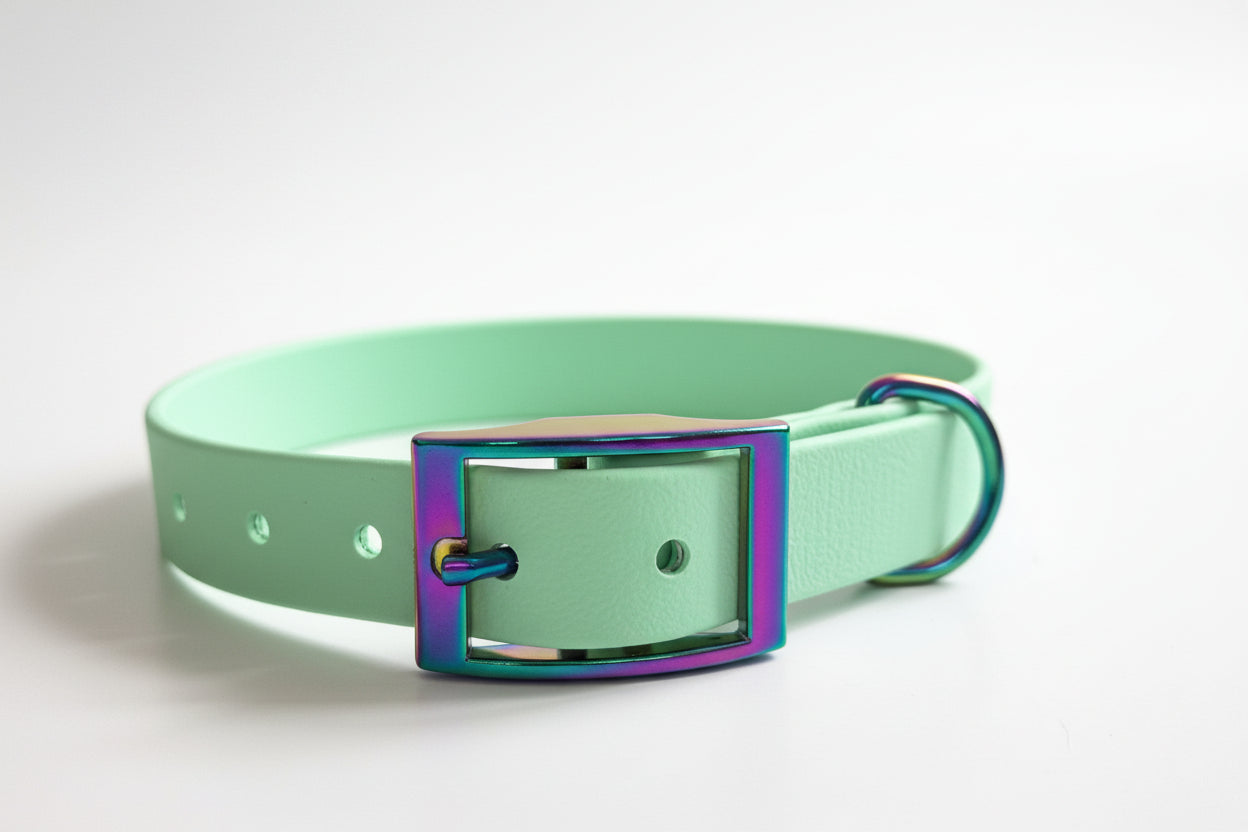 Le Classique - Aurora